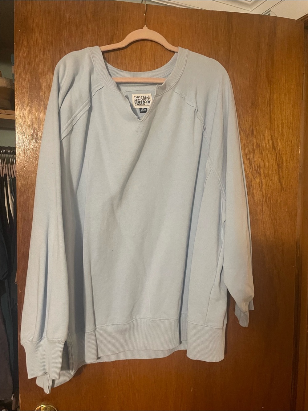 American Eagle Outfitters Light Blue Crewneck Sweatshirt